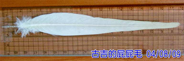 公佈答案 ^^