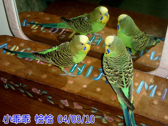 梳妝打扮