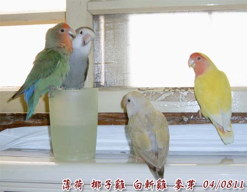 四缺一....