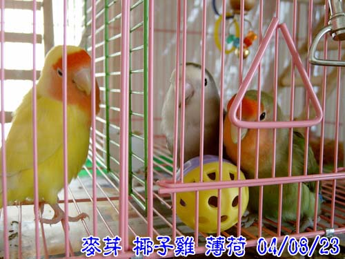 好想出來玩