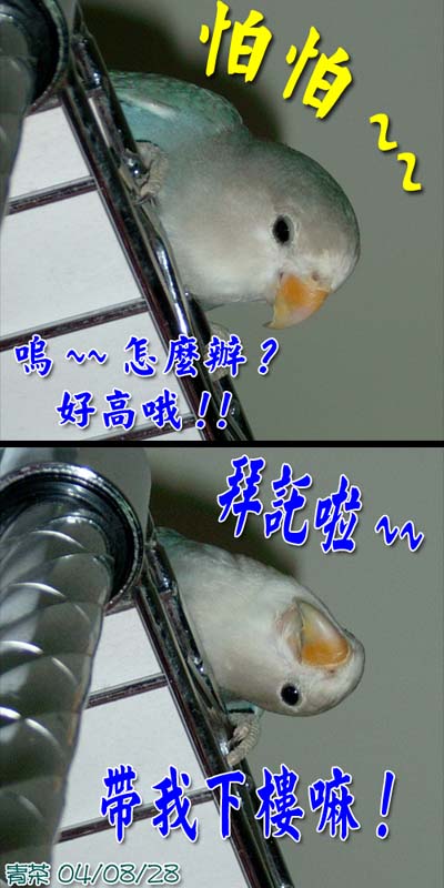 閃亮亮電波