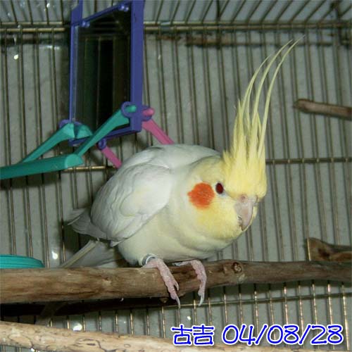 要跳嘍!!