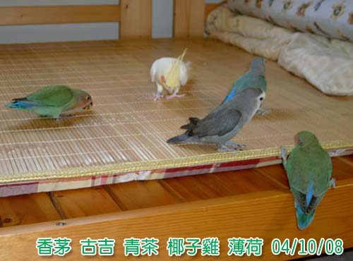 5寶貝