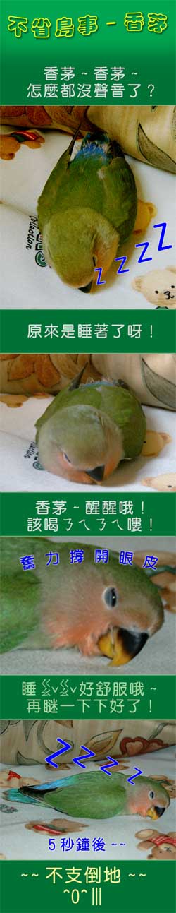 不省鳥事漫畫版