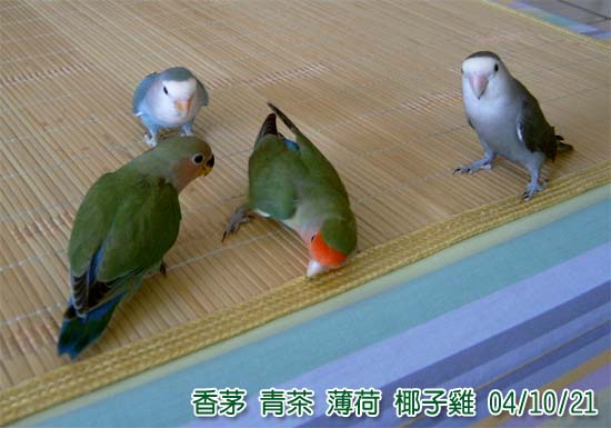 偵測敵情
