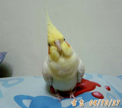 練習~~~