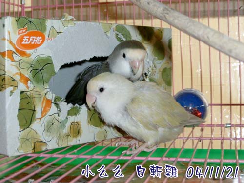 好久不見