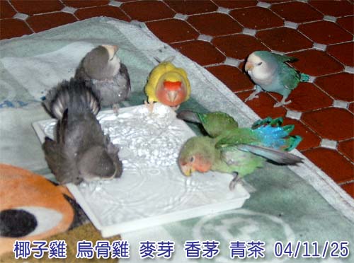 室內浴池