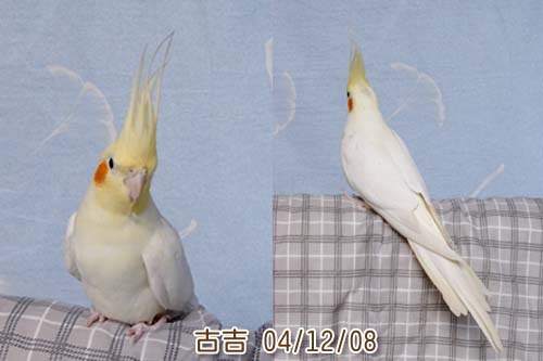看光光了啦!!