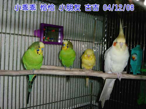 我家真正的阿蘇兒
