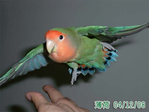 飛~~~~~~~~~~~