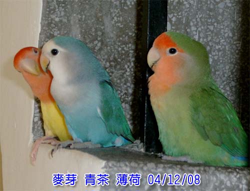 媽咪不愛我>.<