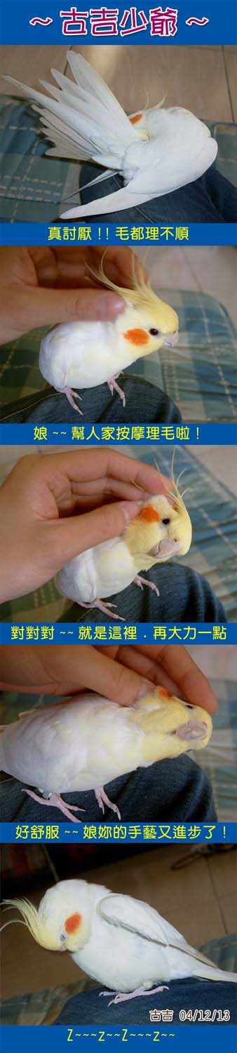 古吉少爺