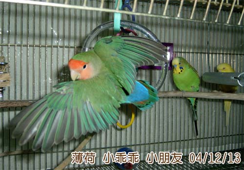 我飛~~~