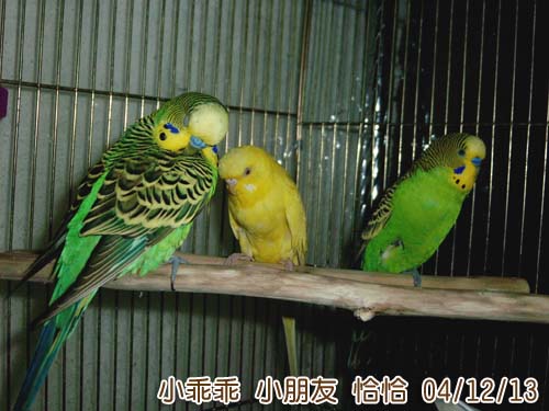 登台前