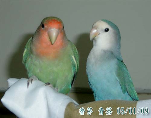 拍照嘍！