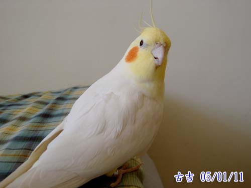 我不懂耶!