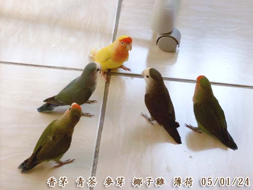 開會中