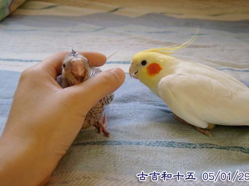 相遇的第一刻