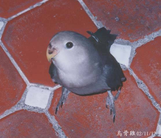 拍照嘍!!
