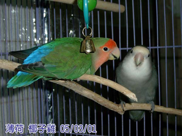 忙裡偷閒