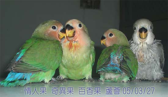 我是誰??