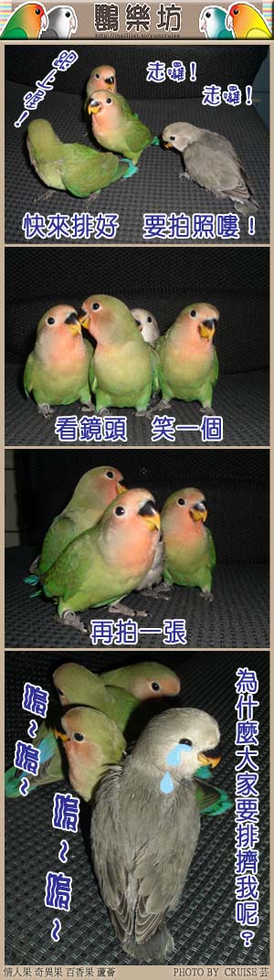 鸚樂坊