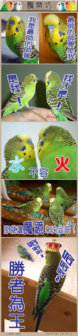 誰真正的帥哥?