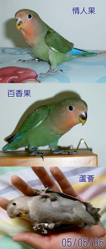 長大了!!