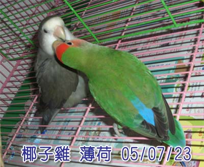 熱吻~~