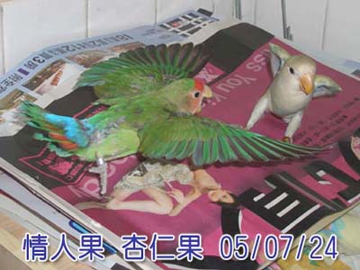 高手過招
