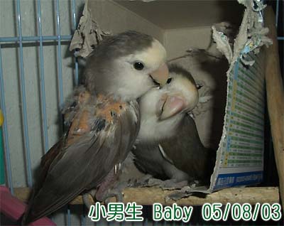 老夫老妻