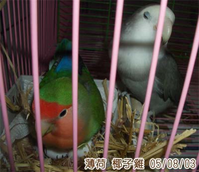 小夫妻