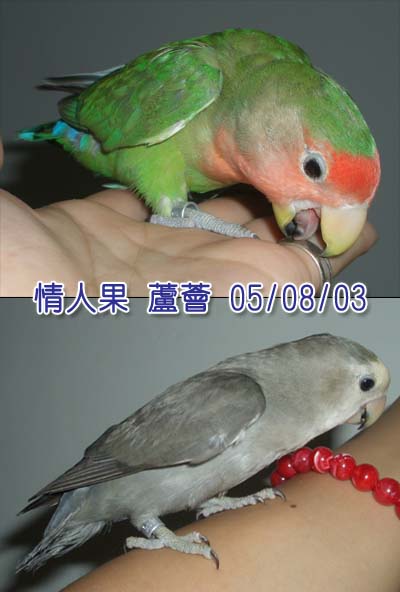 大小孩