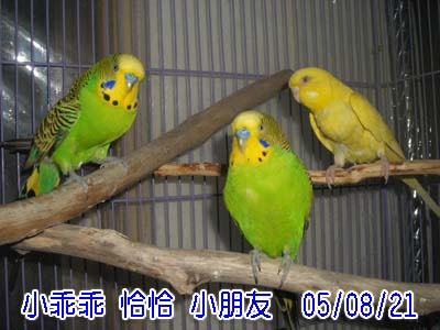 難得的合照