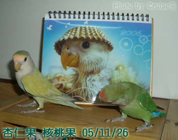 封面人物