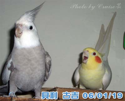 吉利到 ^^