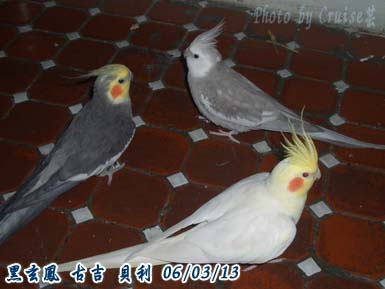 三劍客