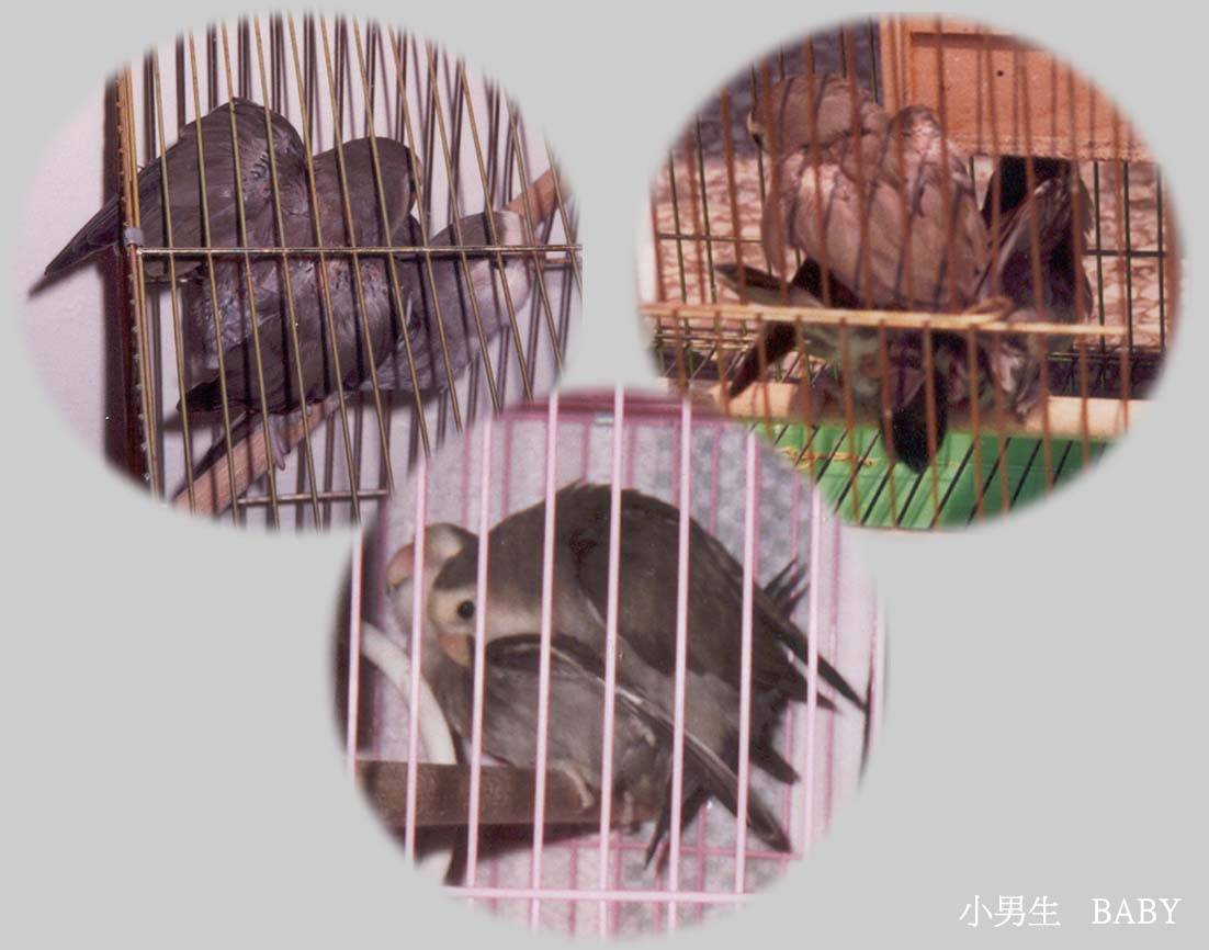限制級未滿18請勿觀賞