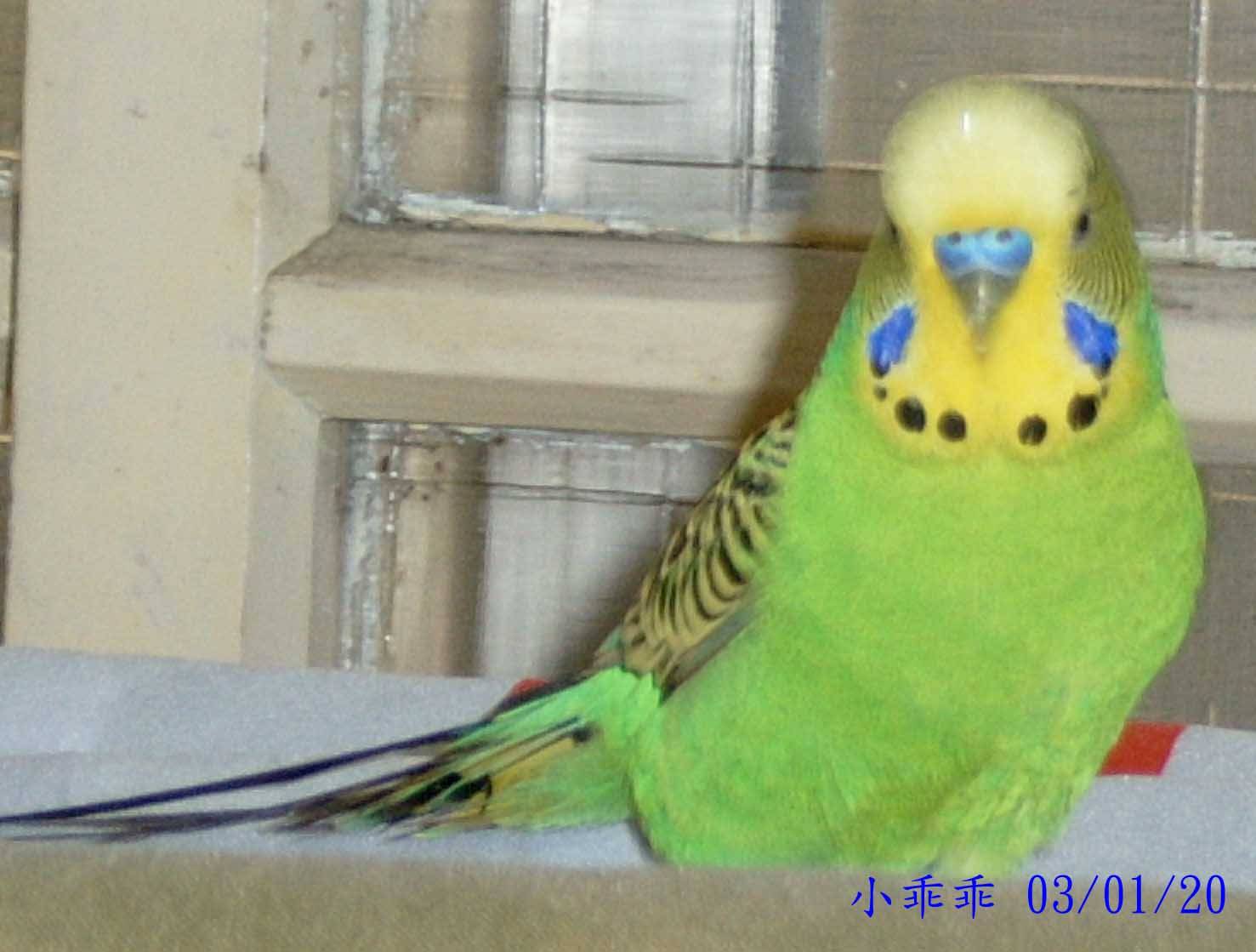 向前看