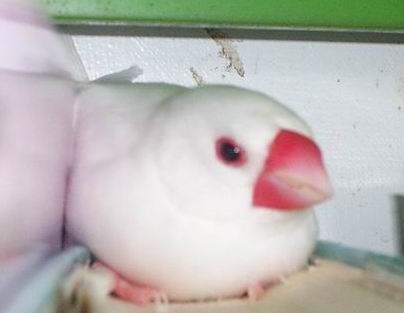 我發現我變懶ㄌ