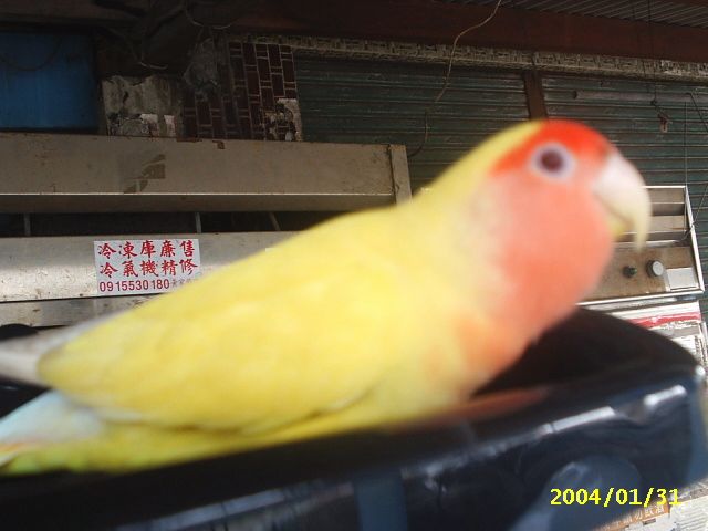 模糊的感覺