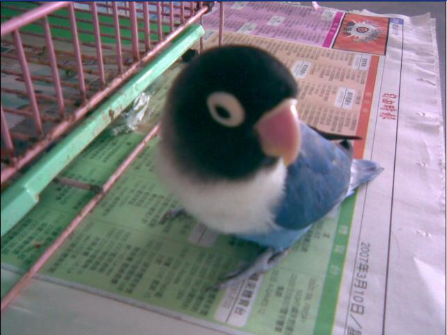 我自由了