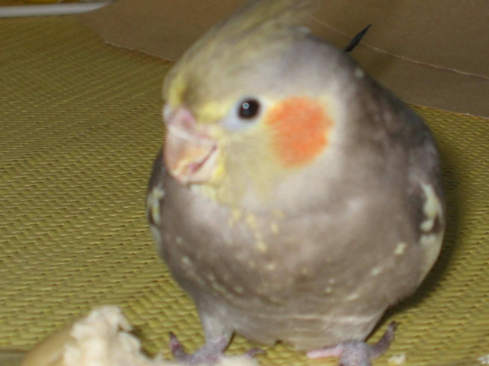 我可不可愛…^0^