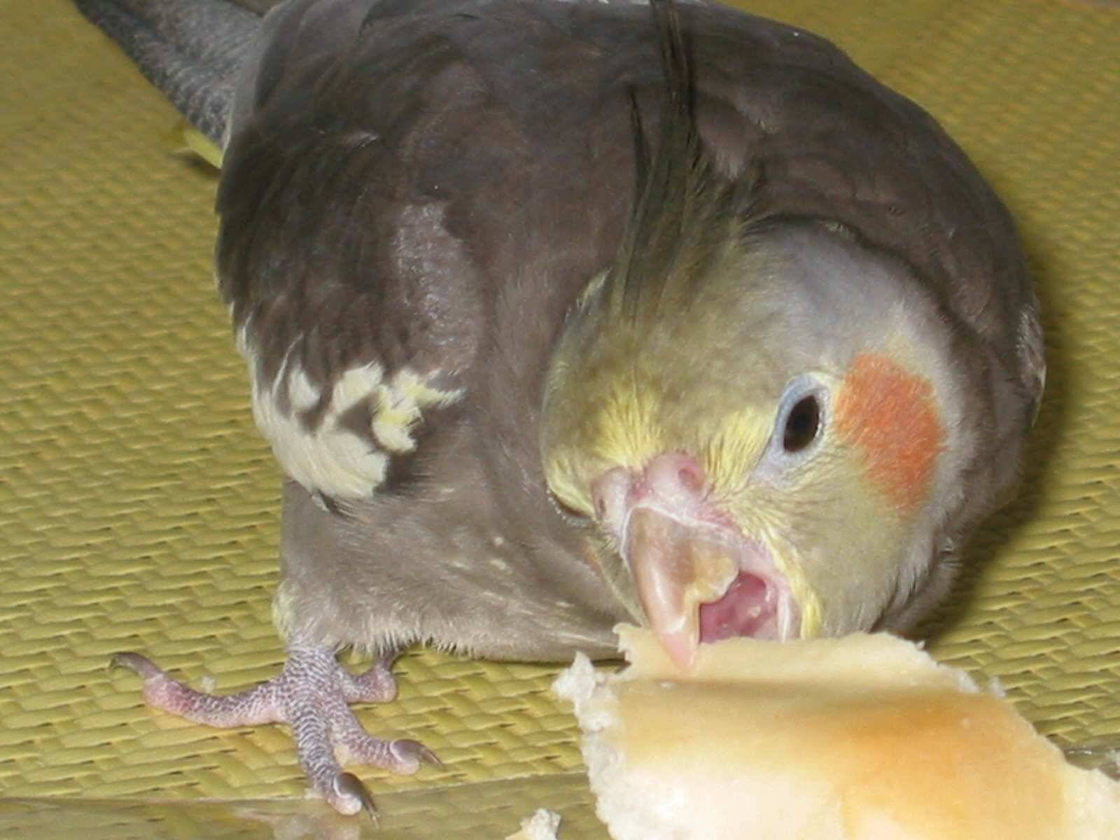 血盆大口