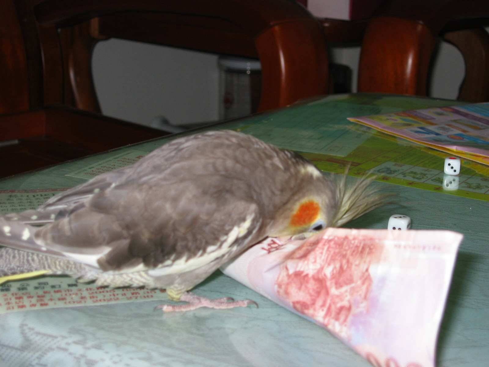 動作要快點…
