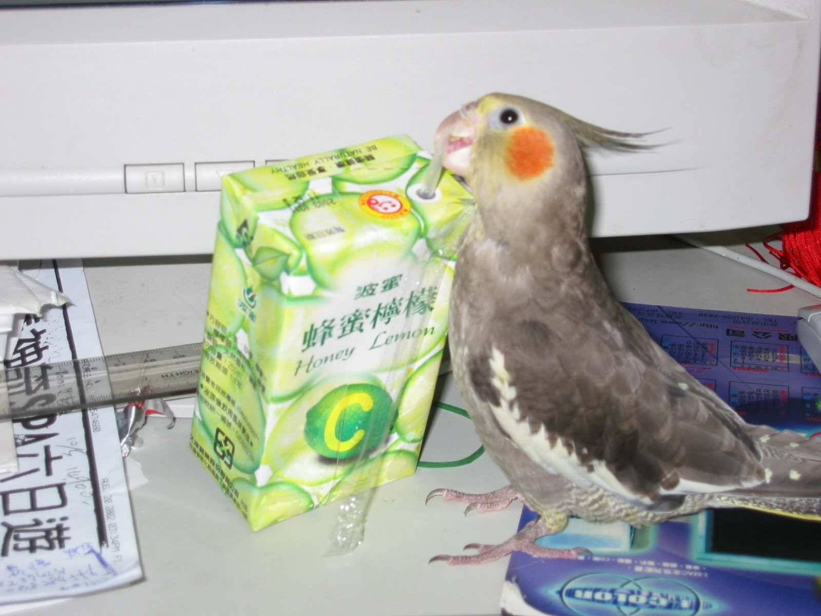 好喝的飲料