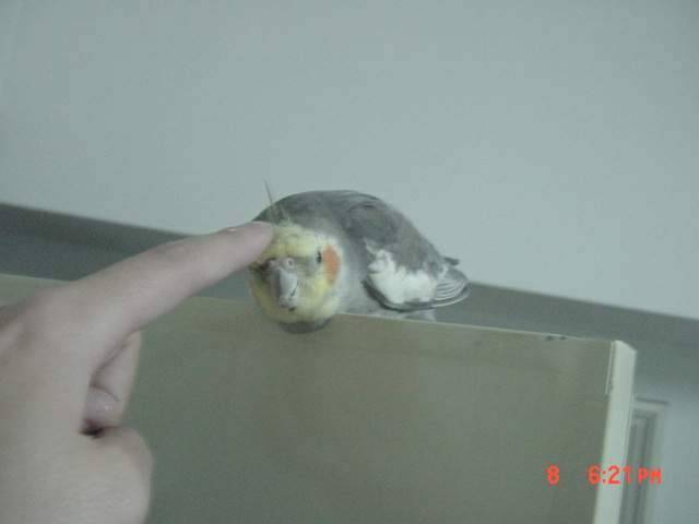 我最乖