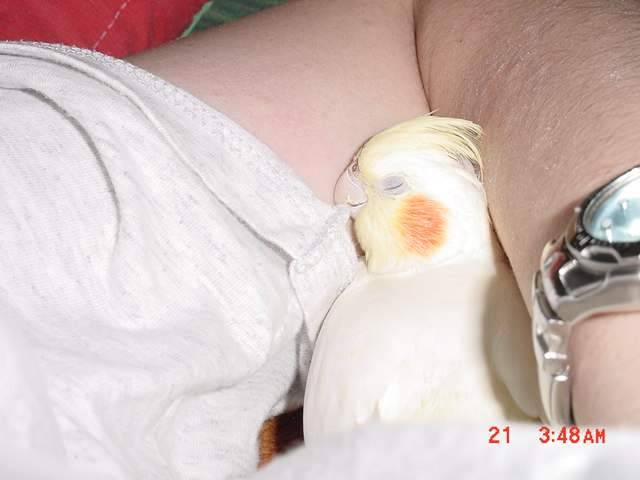 睡著了