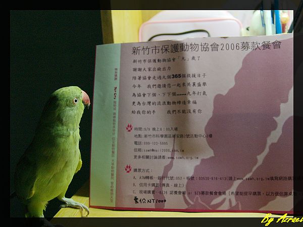9/9新竹市保護動物協會募款餐會